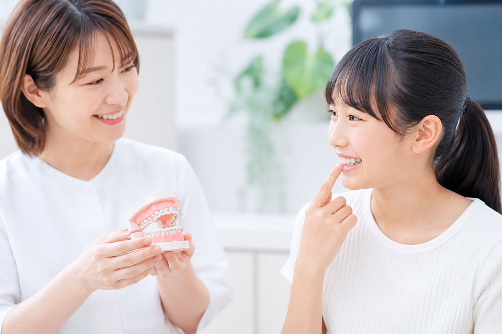 イメージ写真:保定・経過観察